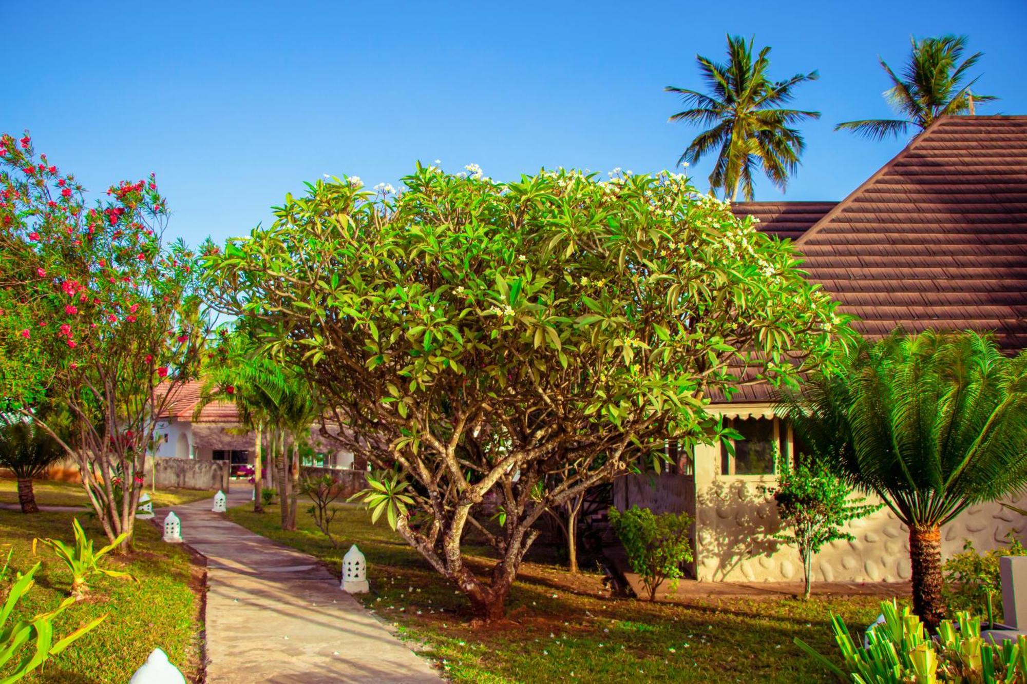 Mandarin Resort Zanzibar Kizimkazi Esterno foto